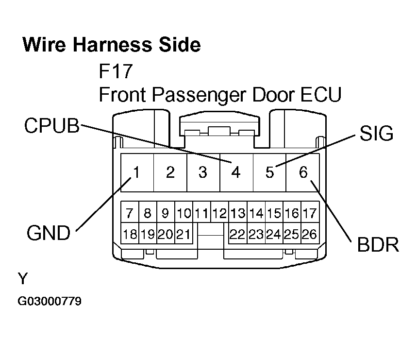 G03000779