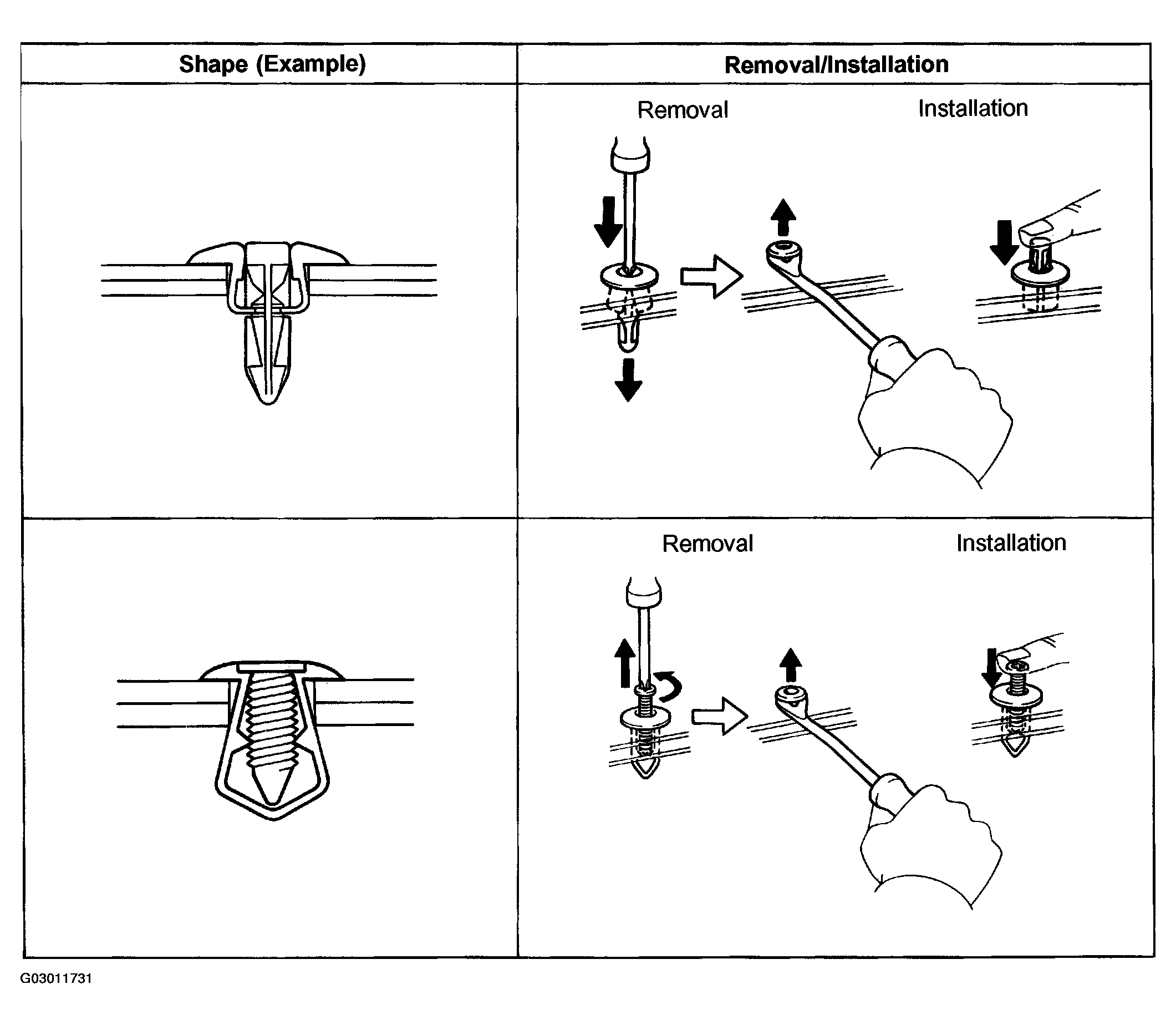 G03011731