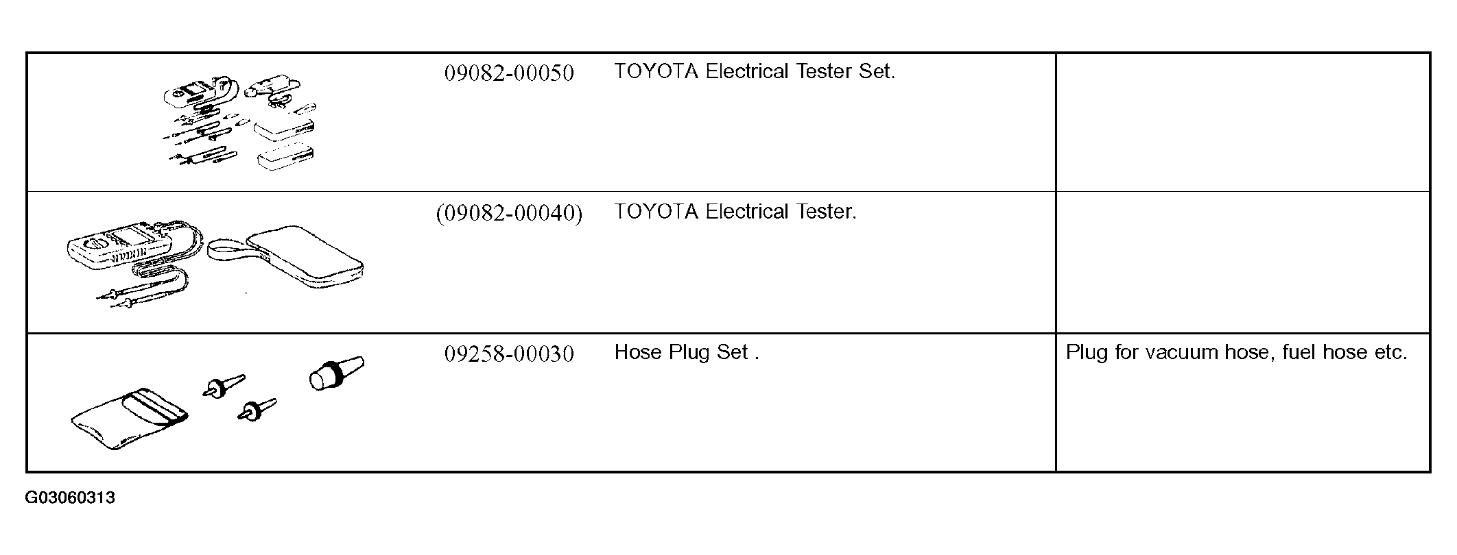G03060313