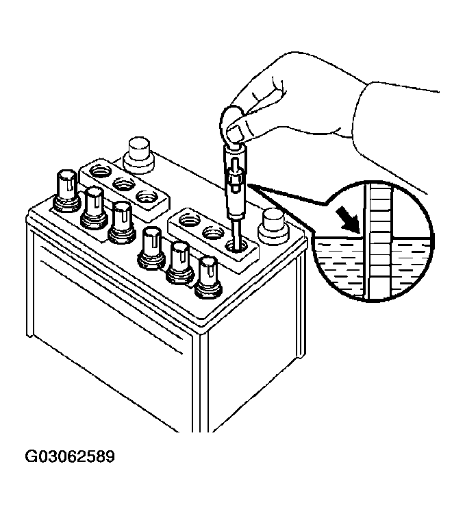 G03062589