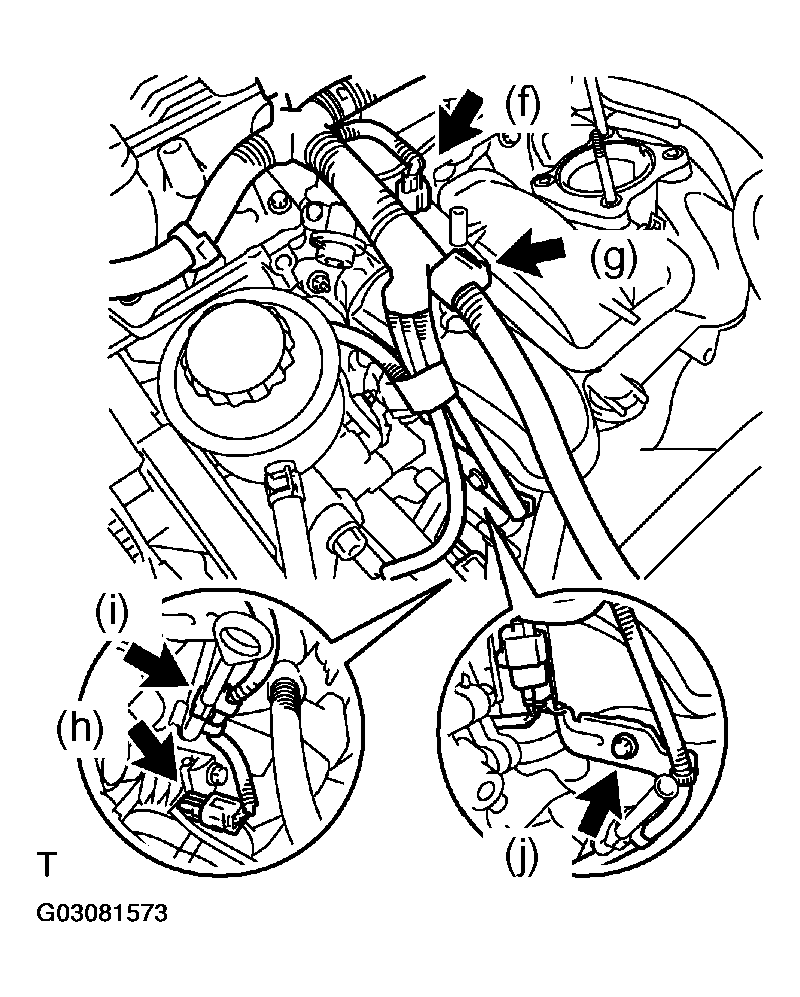 G03081573