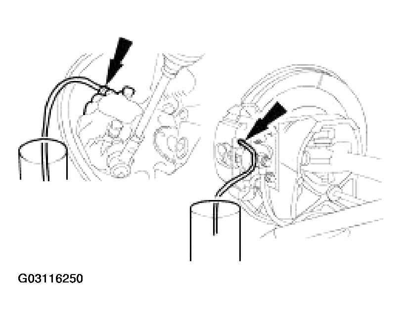 G03116250