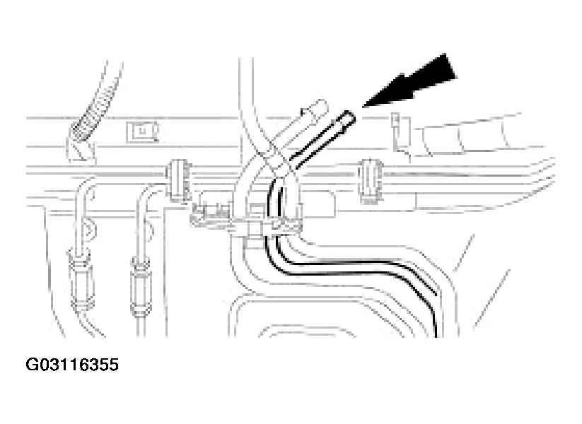 G03116355