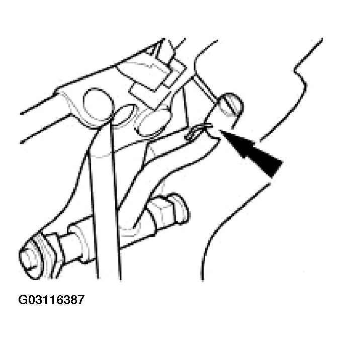 G03116387