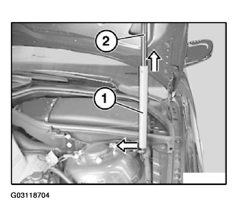 G03118704