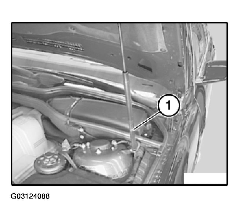 G03124088