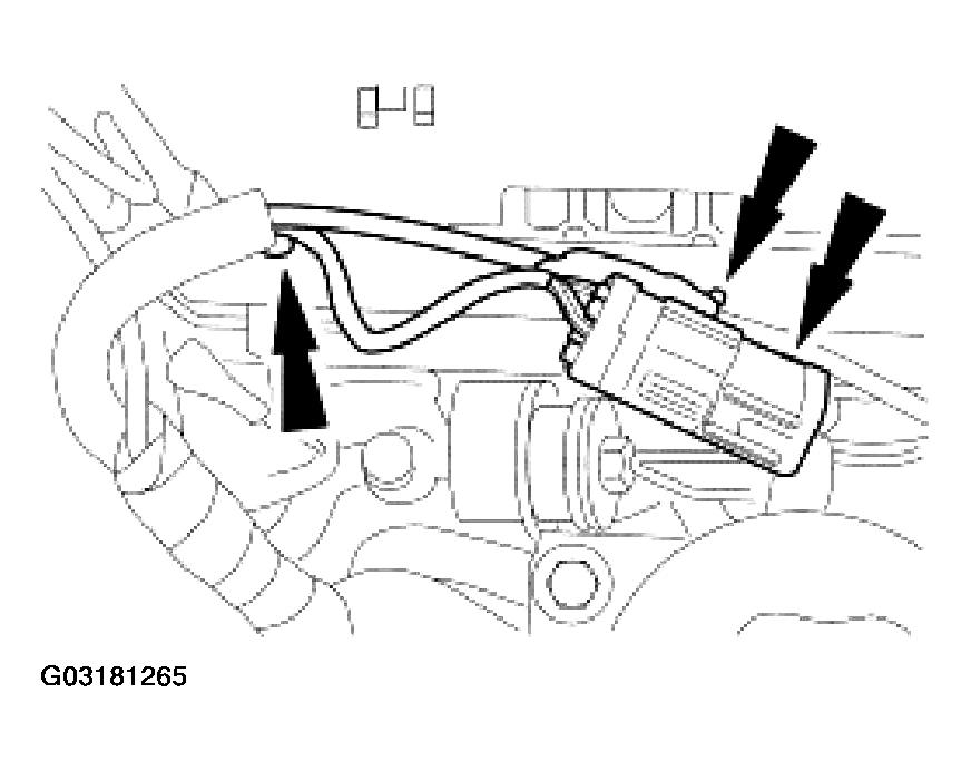 G03181265