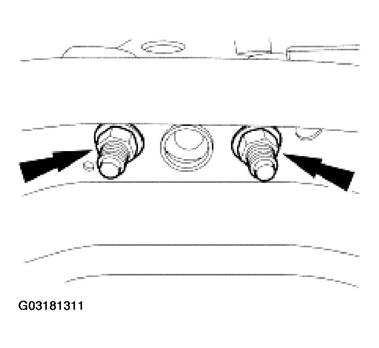 G03181311