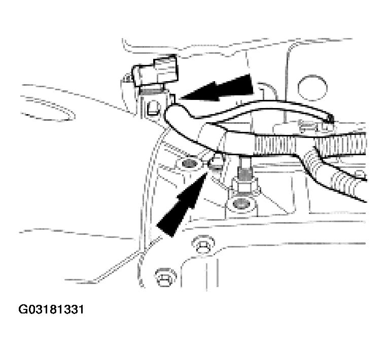 G03181331