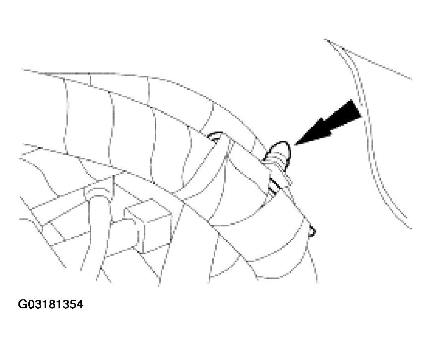 G03181354