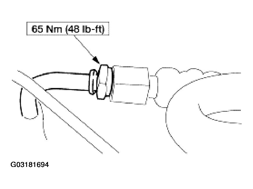 G03181694