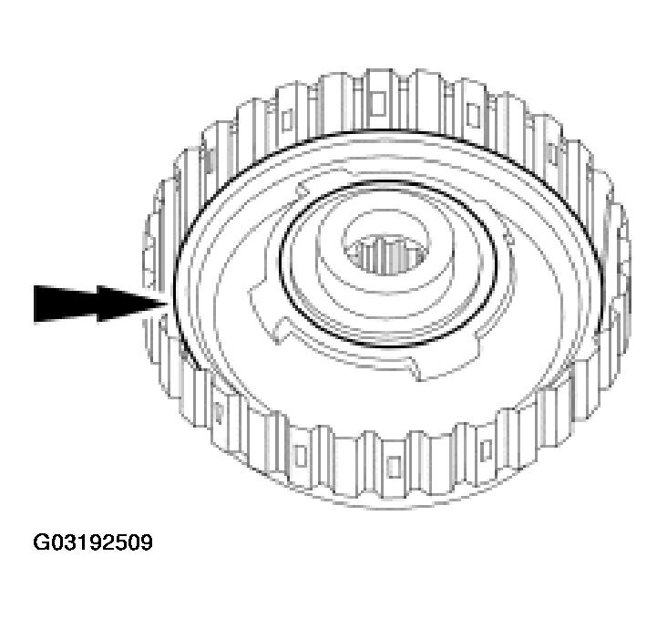 G03192509