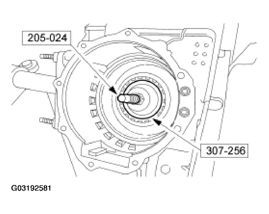 G03192581