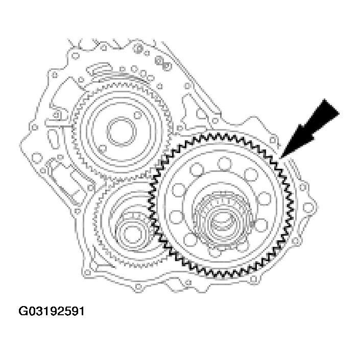 G03192591