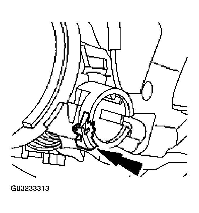 G03233313