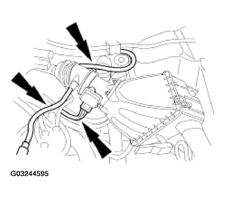 G03244595