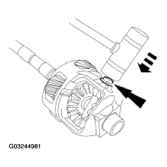 G03244981