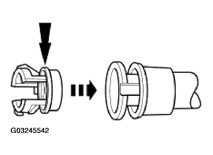G03245542