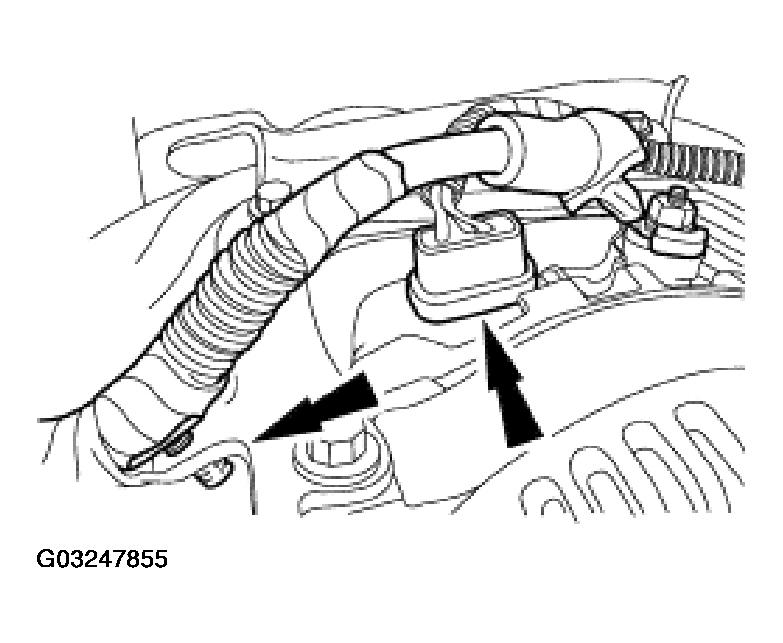 G03247855