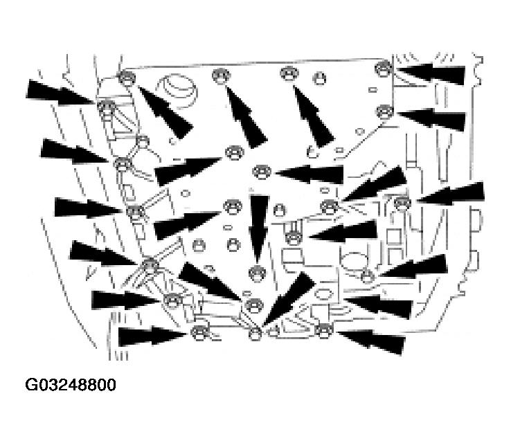 G03248800