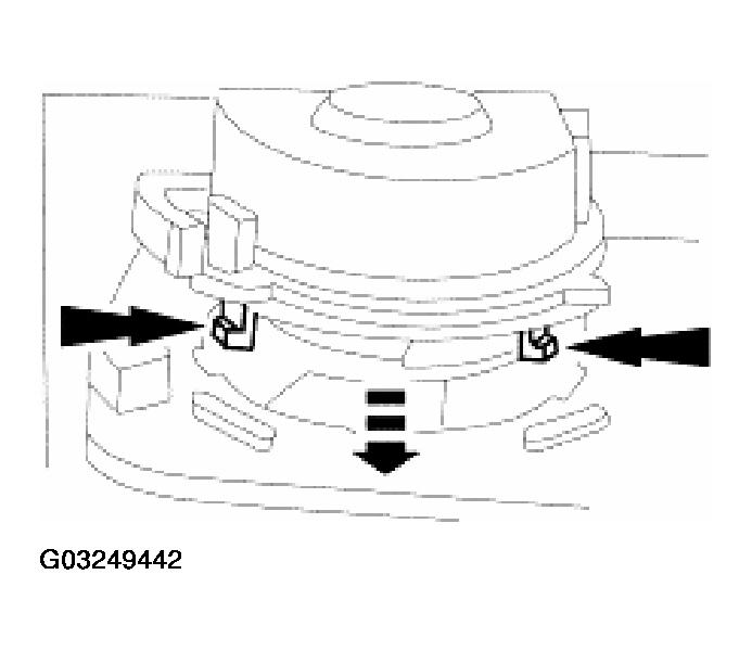 G03249442