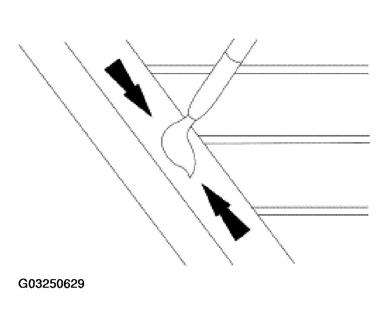 G03250629