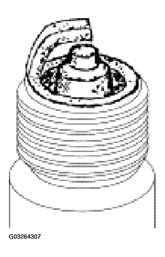 G03264307