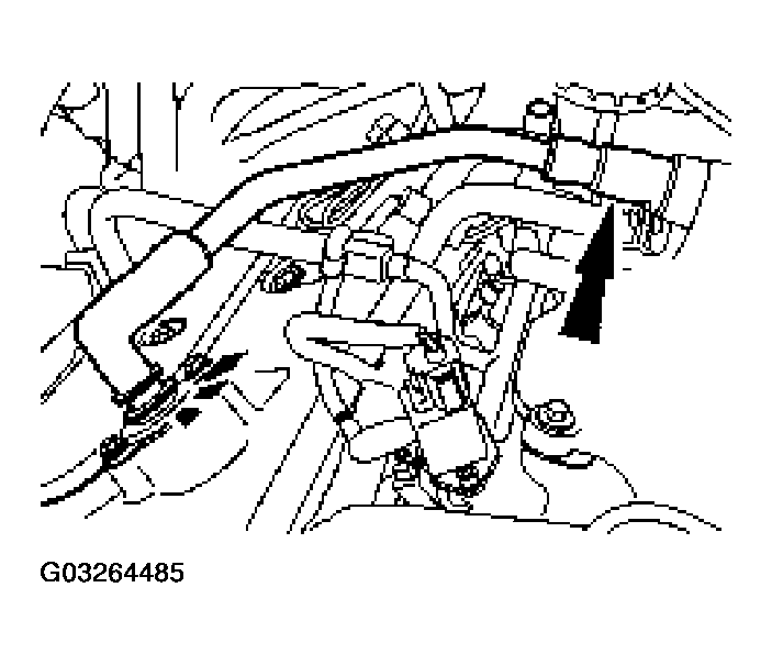 G03264485