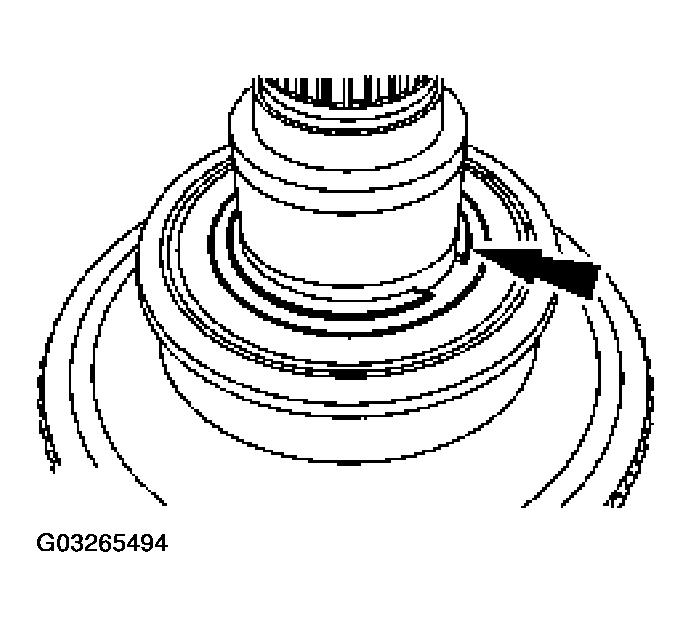 G03265494
