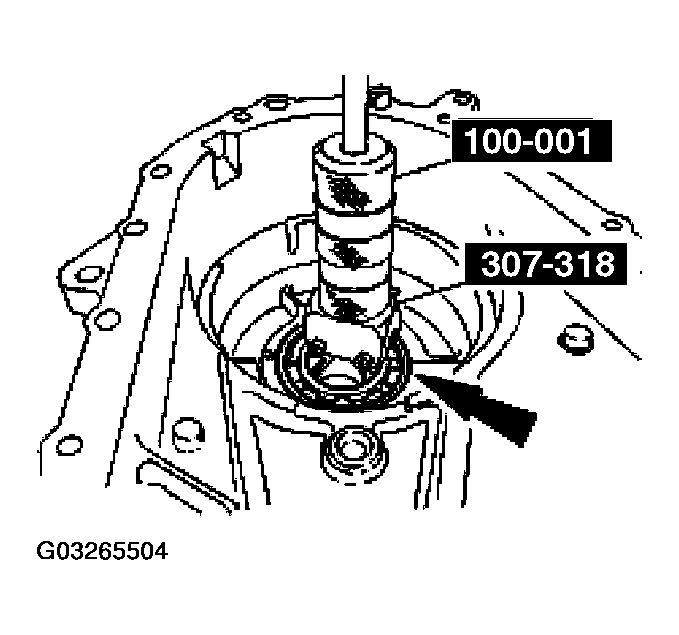 G03265504