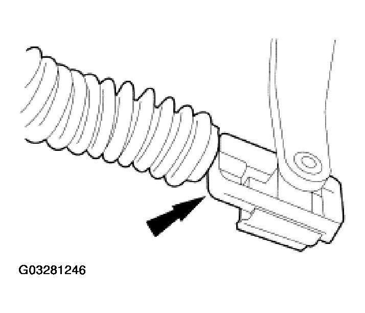 G03281246