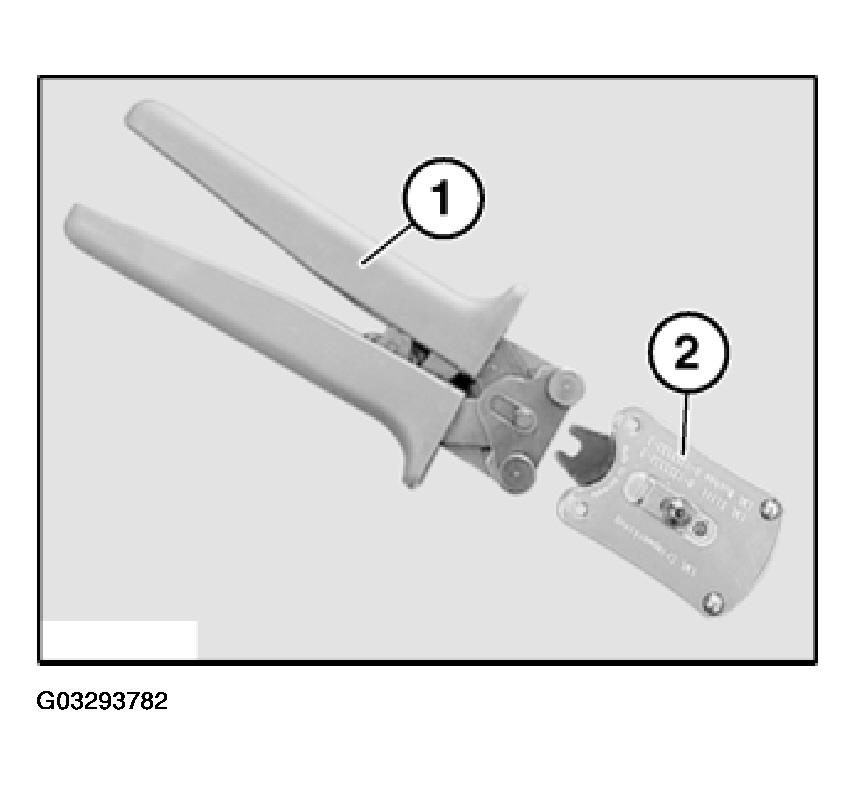 G03293782