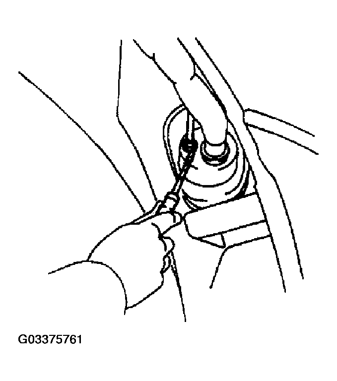G03375761