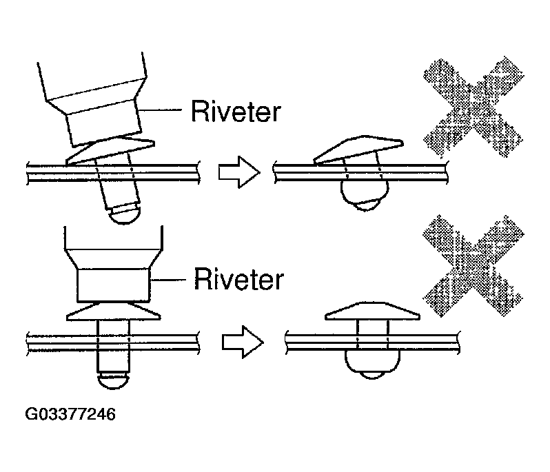G03377246