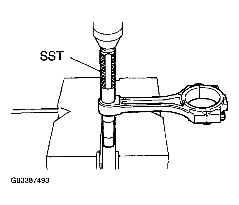 G03387493