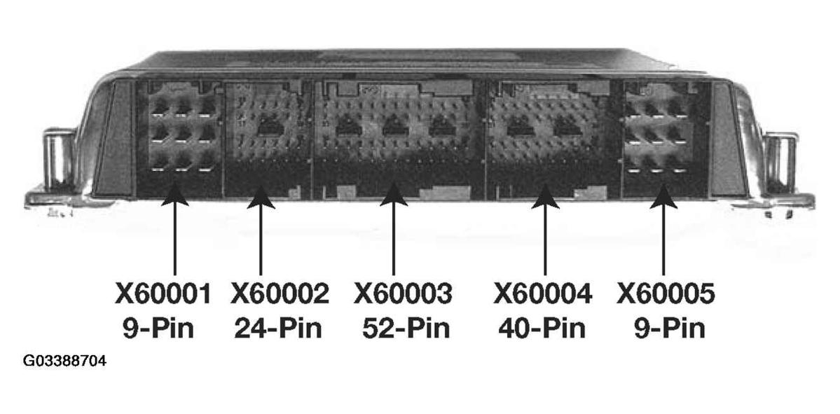 G03388704