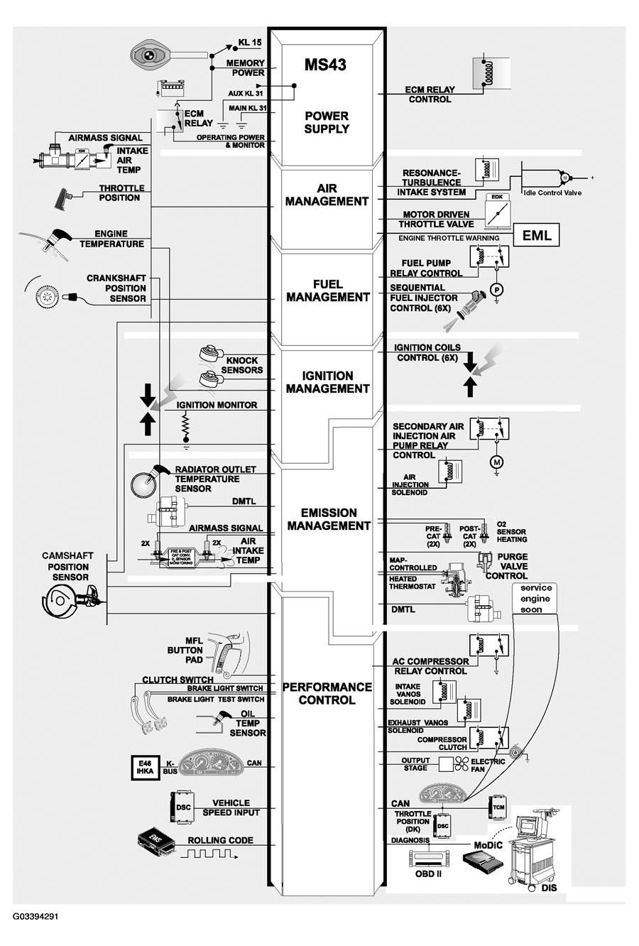 G03394291