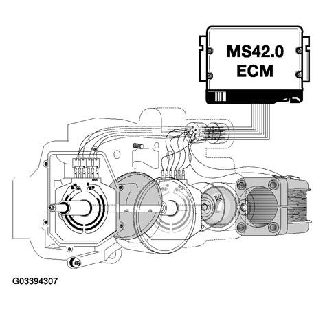 G03394307