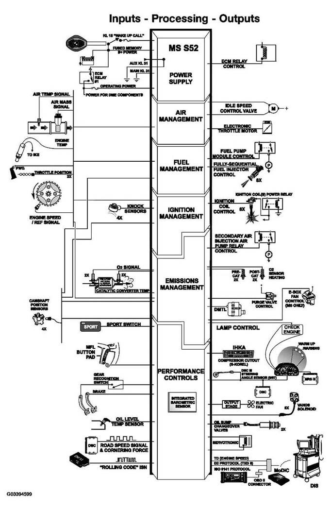 G03394599