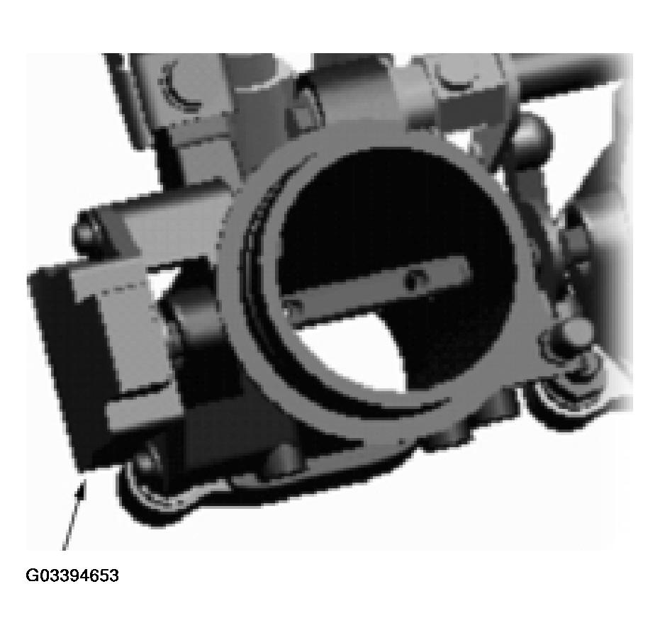 G03394653