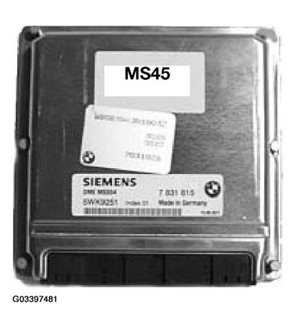 G03397481