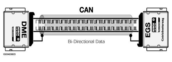G03403823