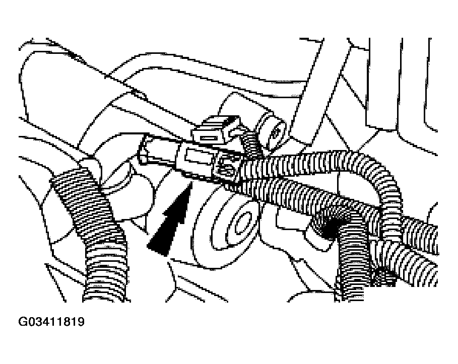 G03411819