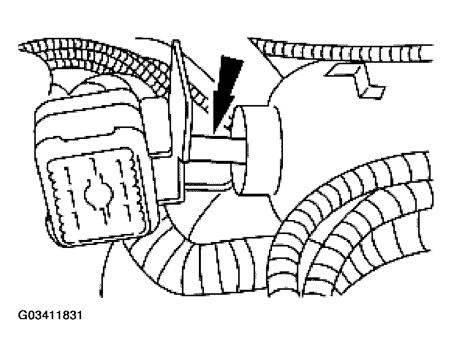 G03411831