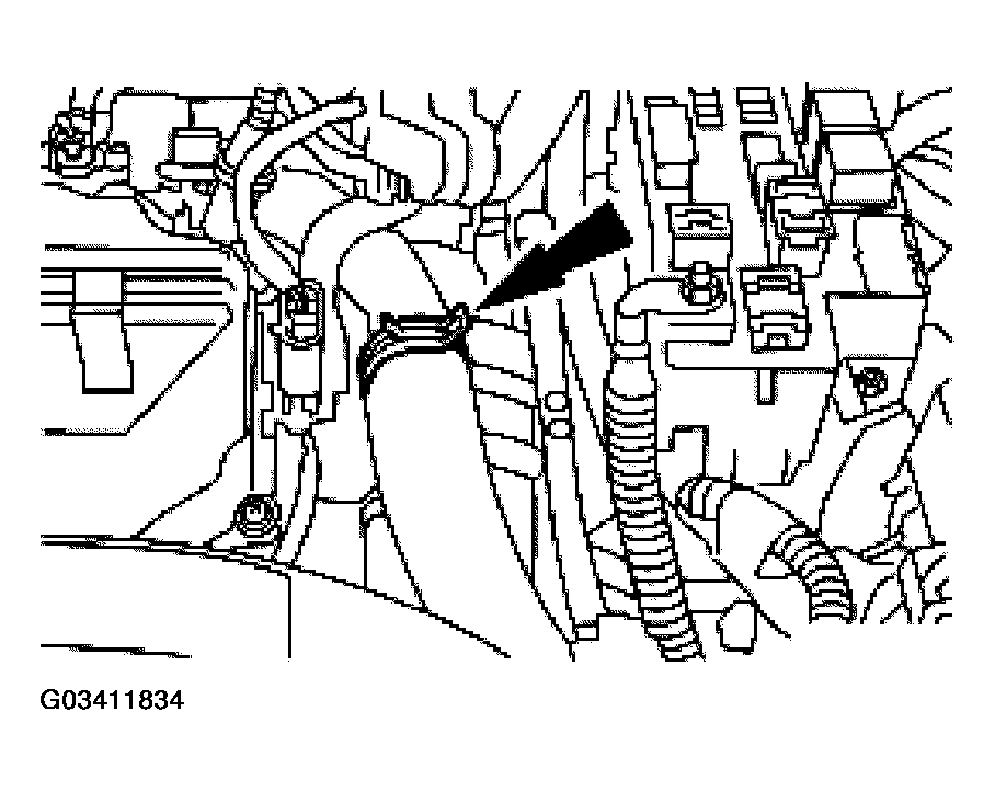 G03411834