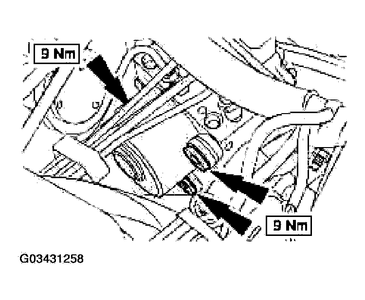 G03431258
