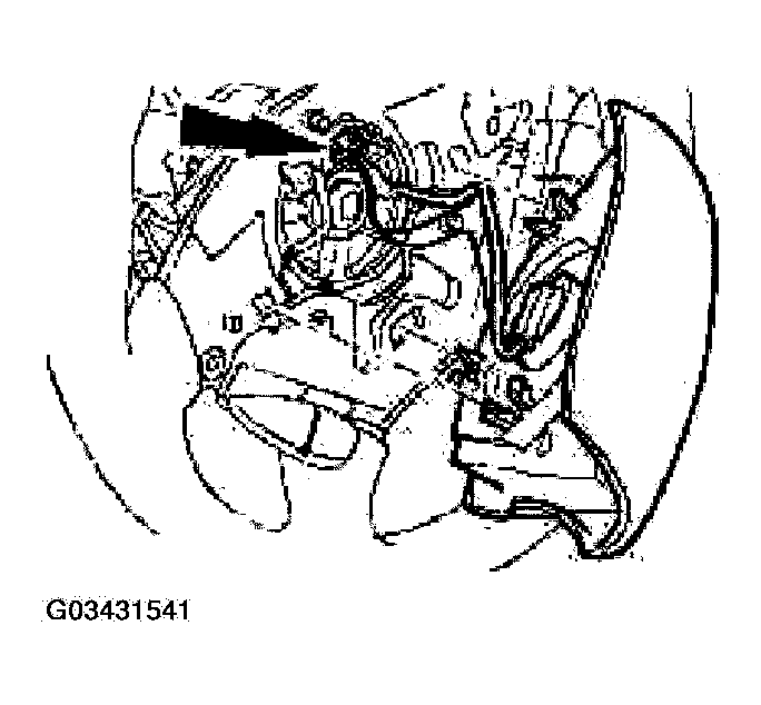 G03431541