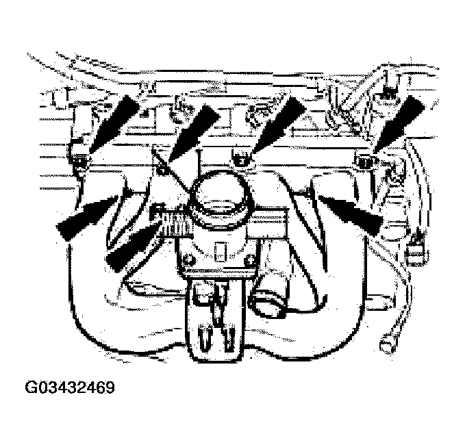 G03432469