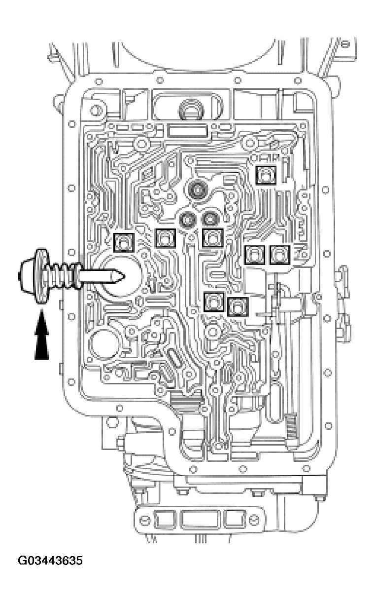 G03443635