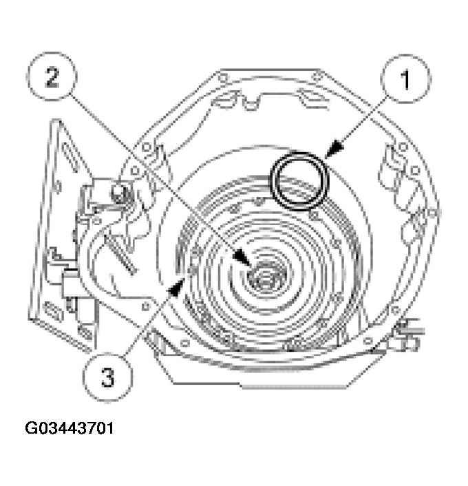 G03443701